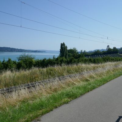 P005 kurz vor Steckborn